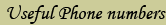 City Phone Numbers