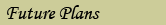 Future Plans